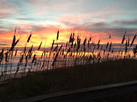 playalinda beach nudes|Playalinda Beach in Titusville, FL (2020 Photos, Reviews, Info,。